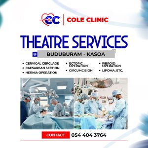 TheatreService